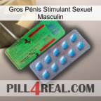 Gros Pénis Stimulant Sexuel Masculin new03